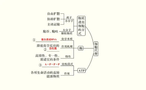 第二单元物质运输、酶与ATP（教案）_新高考复习资料_2022年新高考复习资料_2022届一轮复习讲练结合7.13更新_系列一_第二单元物质运输、酶与ATP
