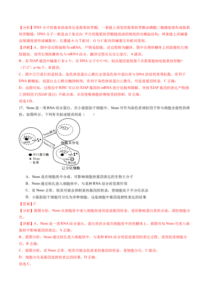 第六单元遗传的物质基础（测试）（解析版）_2025年新高考资料_一轮复习_2025年高考生物一轮复习讲练测（新教材新高考）