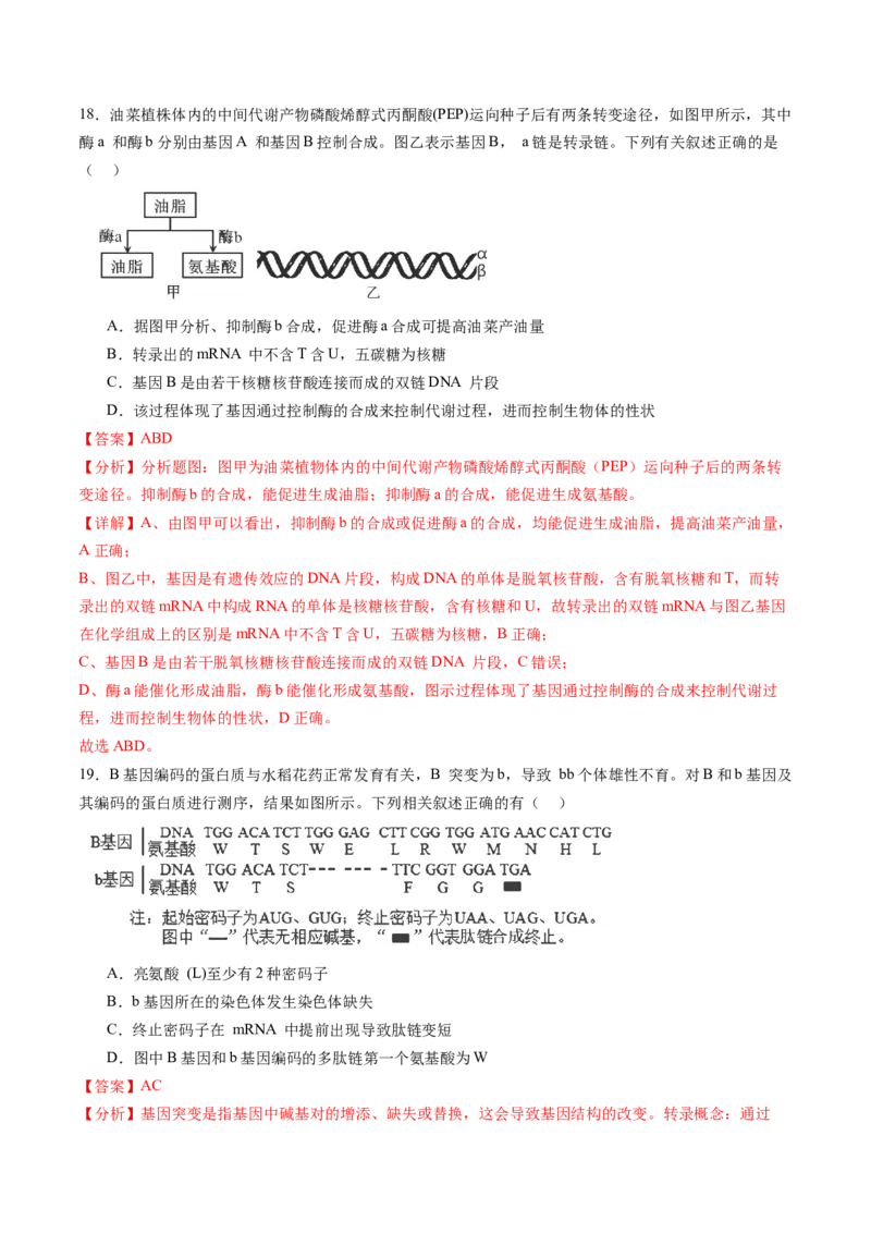第六单元遗传的物质基础（测试）（解析版）_2025年新高考资料_一轮复习_2025年高考生物一轮复习讲练测（新教材新高考）