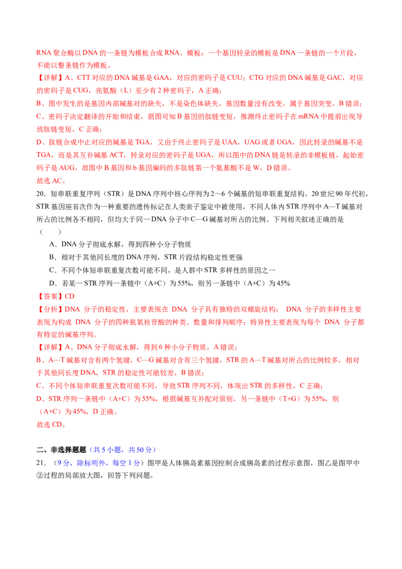 第六单元遗传的物质基础（测试）（解析版）_2025年新高考资料_一轮复习_2025年高考生物一轮复习讲练测（新教材新高考）