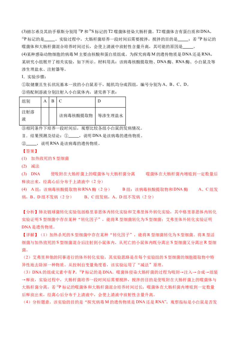 第六单元遗传的物质基础（测试）（解析版）_2025年新高考资料_一轮复习_2025年高考生物一轮复习讲练测（新教材新高考）
