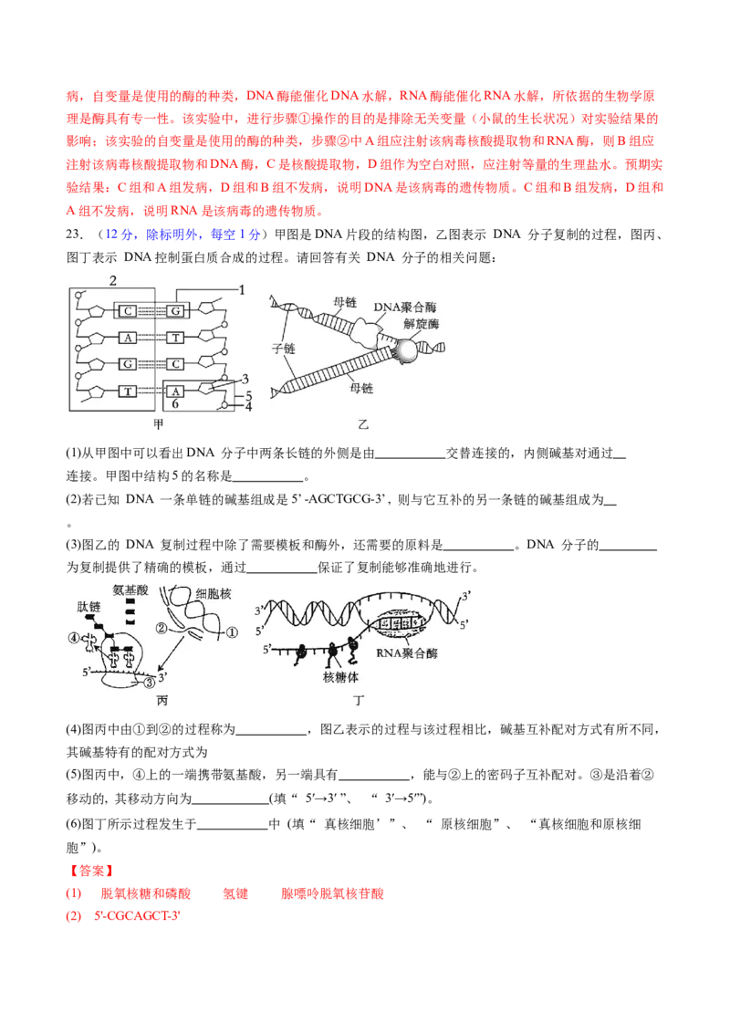 第六单元遗传的物质基础（测试）（解析版）_2025年新高考资料_一轮复习_2025年高考生物一轮复习讲练测（新教材新高考）
