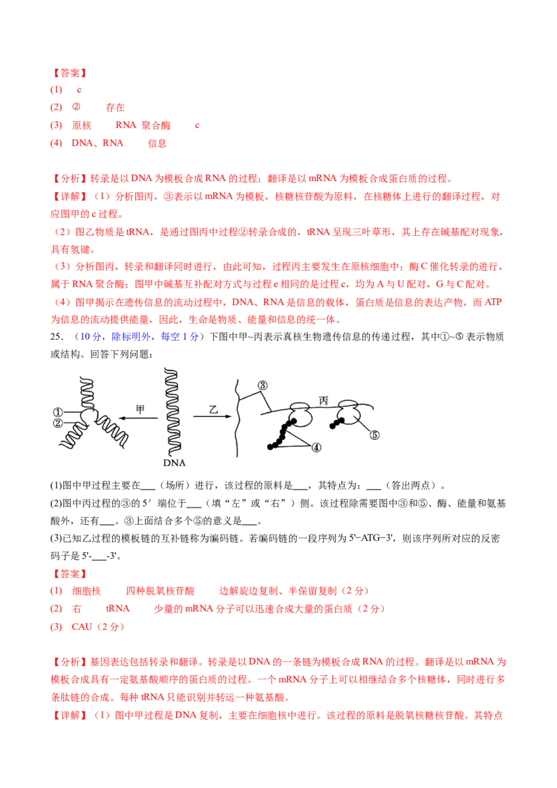 第六单元遗传的物质基础（测试）（解析版）_2025年新高考资料_一轮复习_2025年高考生物一轮复习讲练测（新教材新高考）