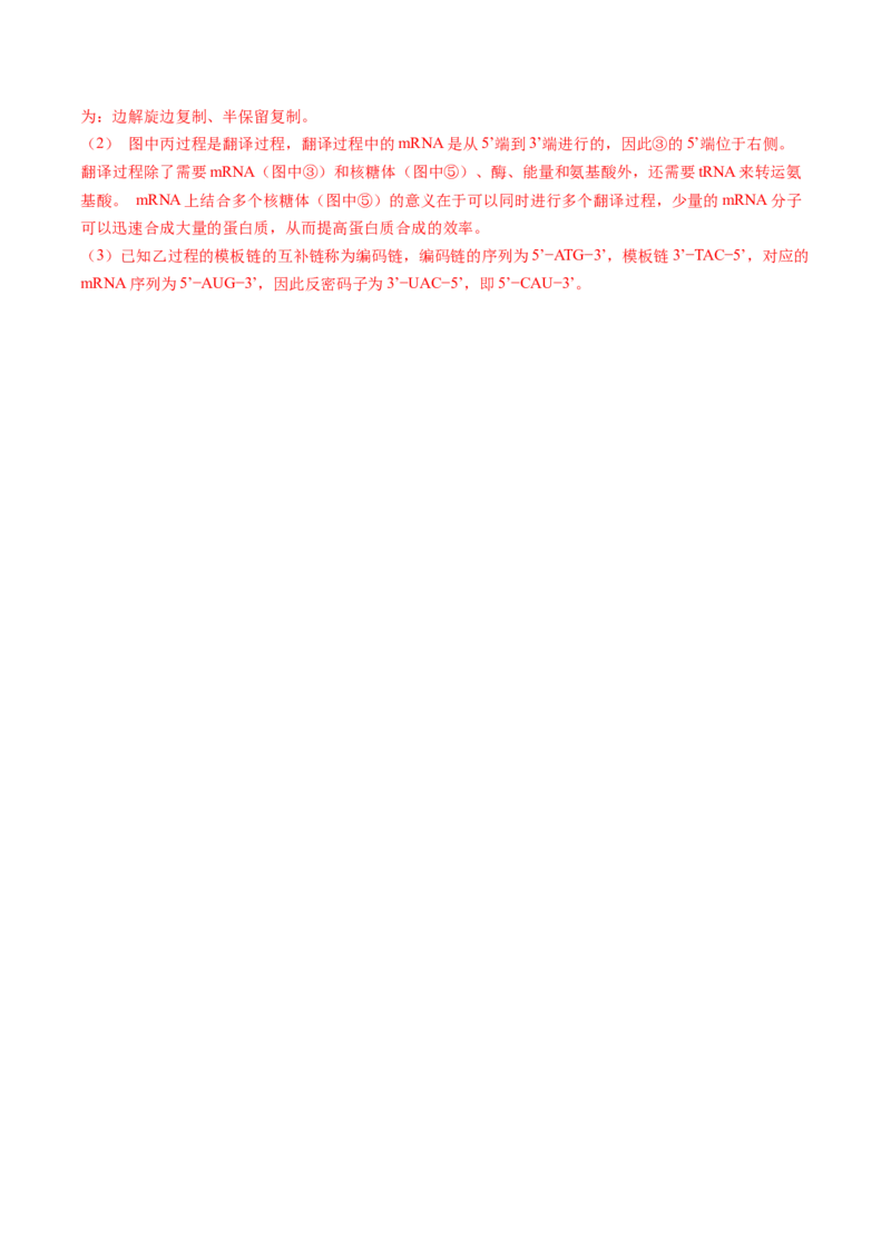 第六单元遗传的物质基础（测试）（解析版）_2025年新高考资料_一轮复习_2025年高考生物一轮复习讲练测（新教材新高考）
