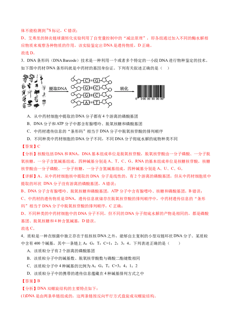 第六单元遗传的物质基础（测试）（解析版）_2025年新高考资料_一轮复习_2025年高考生物一轮复习讲练测（新教材新高考）