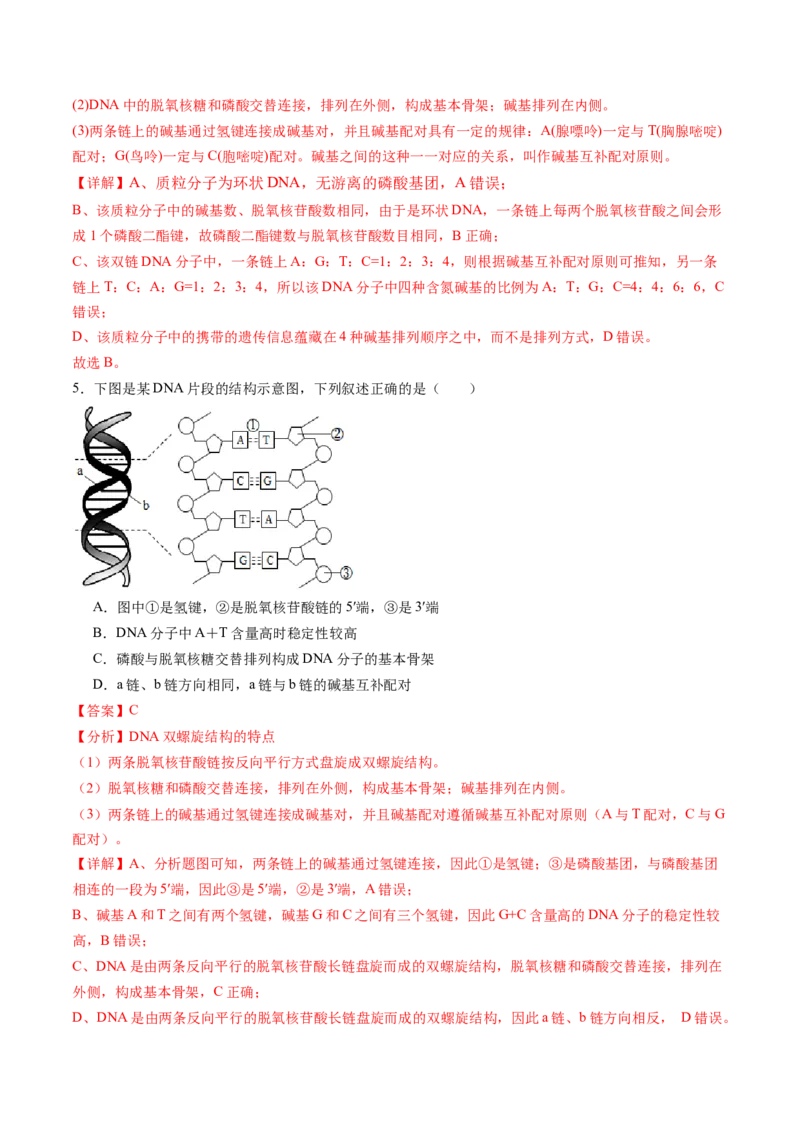 第六单元遗传的物质基础（测试）（解析版）_2025年新高考资料_一轮复习_2025年高考生物一轮复习讲练测（新教材新高考）