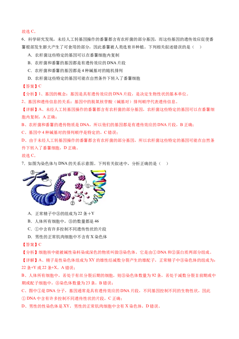 第六单元遗传的物质基础（测试）（解析版）_2025年新高考资料_一轮复习_2025年高考生物一轮复习讲练测（新教材新高考）
