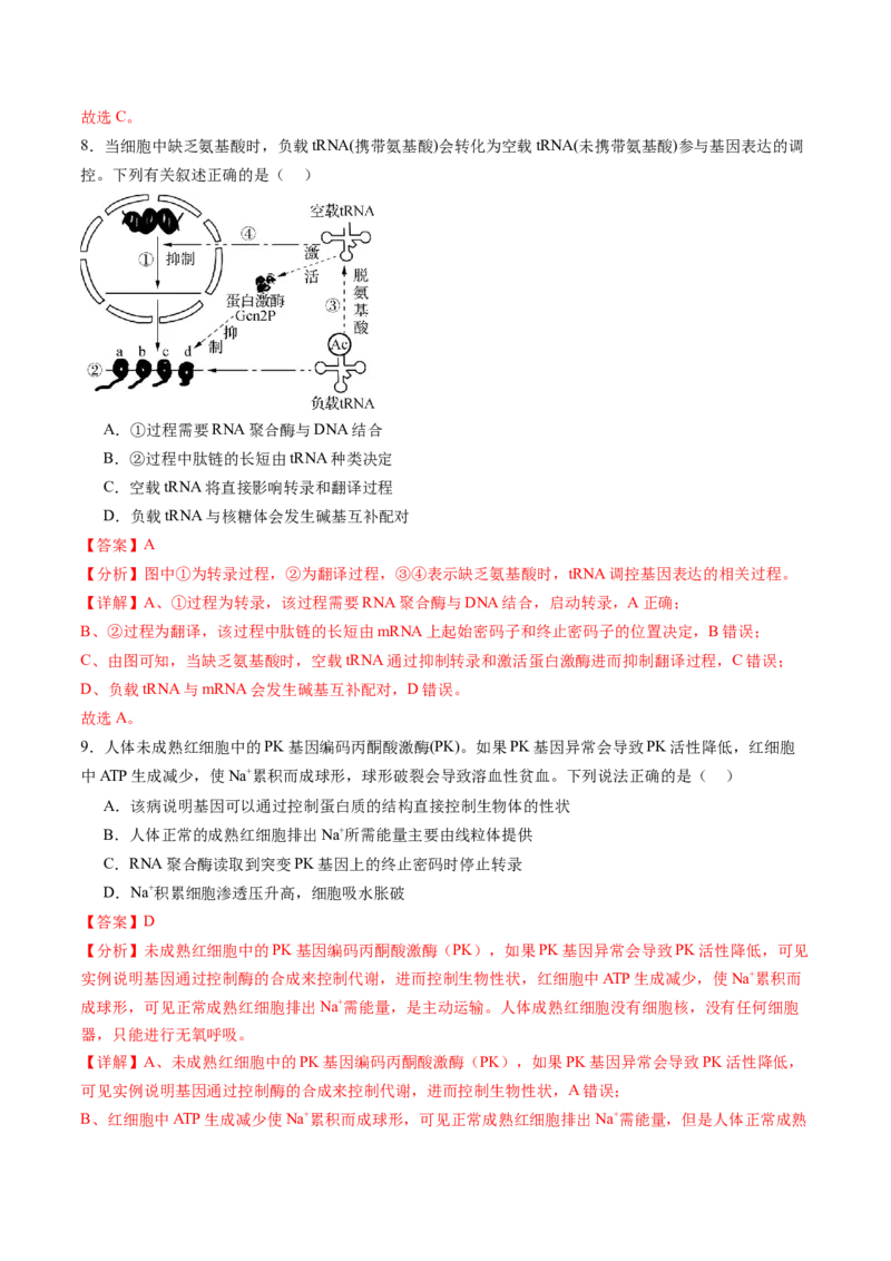 第六单元遗传的物质基础（测试）（解析版）_2025年新高考资料_一轮复习_2025年高考生物一轮复习讲练测（新教材新高考）