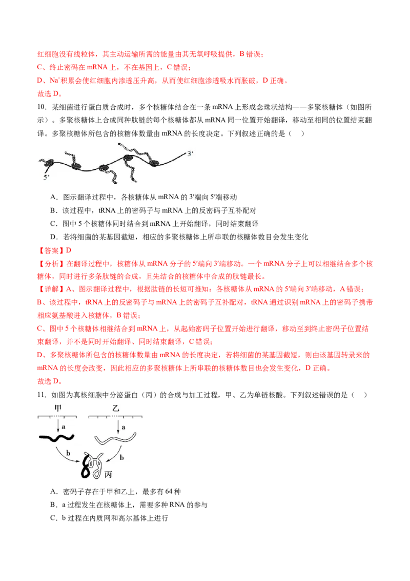 第六单元遗传的物质基础（测试）（解析版）_2025年新高考资料_一轮复习_2025年高考生物一轮复习讲练测（新教材新高考）