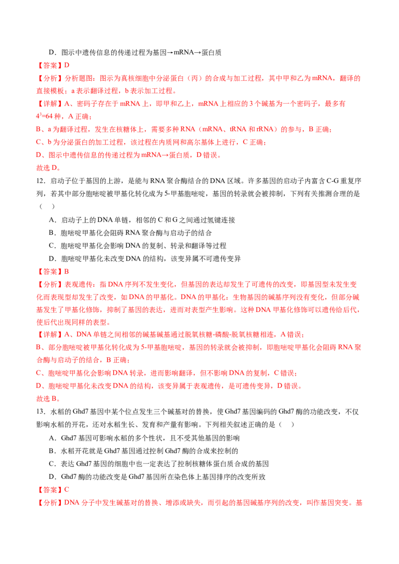 第六单元遗传的物质基础（测试）（解析版）_2025年新高考资料_一轮复习_2025年高考生物一轮复习讲练测（新教材新高考）