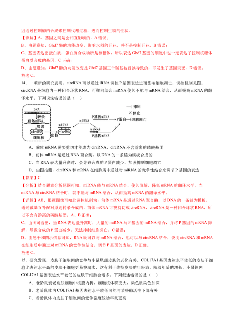 第六单元遗传的物质基础（测试）（解析版）_2025年新高考资料_一轮复习_2025年高考生物一轮复习讲练测（新教材新高考）