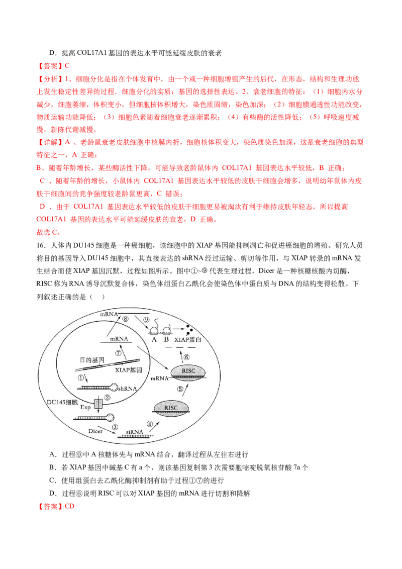 第六单元遗传的物质基础（测试）（解析版）_2025年新高考资料_一轮复习_2025年高考生物一轮复习讲练测（新教材新高考）