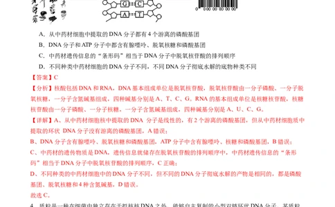 第六单元遗传的物质基础（测试）（解析版）_2025年新高考资料_一轮复习_2025年高考生物一轮复习讲练测（新教材新高考）