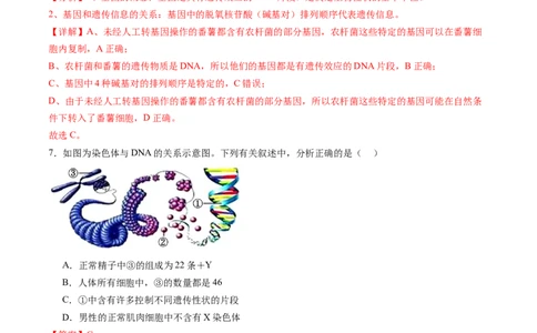 第六单元遗传的物质基础（测试）（解析版）_2025年新高考资料_一轮复习_2025年高考生物一轮复习讲练测（新教材新高考）