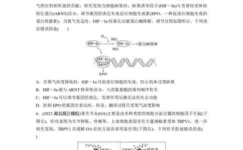 第一篇专题九微专题(六)　与生物学相关的诺贝尔奖_通用版（老高考）复习资料_2023年复习资料_二轮复习_2023年高考生物二轮复习讲义+课件（全国版）_学生版_大二轮专题复习讲义