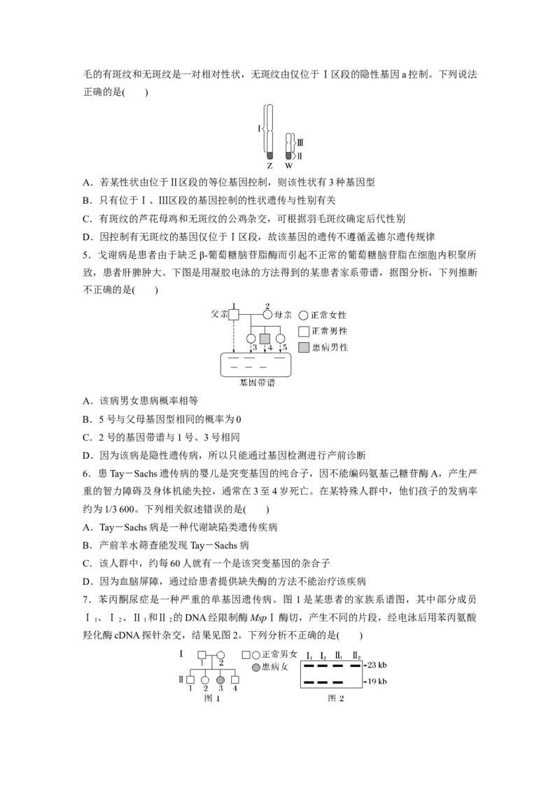 第5单元　课时练8　伴性遗传的特点与应用及人类遗传病_新高考复习资料_2024年新高考复习资料_一轮复习资料_完2024生物步步高大一轮复习（课件+讲义）_学生版在此文件夹