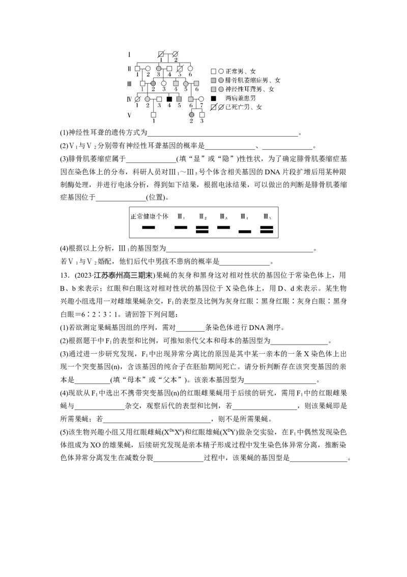 第5单元　课时练8　伴性遗传的特点与应用及人类遗传病_新高考复习资料_2024年新高考复习资料_一轮复习资料_完2024生物步步高大一轮复习（课件+讲义）_学生版在此文件夹