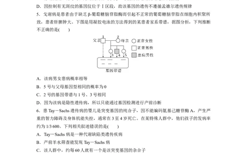 第5单元　课时练8　伴性遗传的特点与应用及人类遗传病_新高考复习资料_2024年新高考复习资料_一轮复习资料_完2024生物步步高大一轮复习（课件+讲义）_学生版在此文件夹