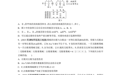 第5单元　课时练8　伴性遗传的特点与应用及人类遗传病_新高考复习资料_2024年新高考复习资料_一轮复习资料_完2024生物步步高大一轮复习（课件+讲义）_学生版在此文件夹