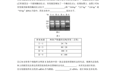 第5单元　课时练8　伴性遗传的特点与应用及人类遗传病_新高考复习资料_2024年新高考复习资料_一轮复习资料_完2024生物步步高大一轮复习（课件+讲义）_学生版在此文件夹