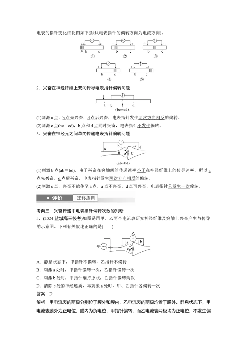 第八单元　第38课时　神经冲动的产生和传导_2025年新高考资料_一轮复习_2025大一轮复习讲义+课件（完结）_2025大一轮复习讲义生物教师用书Word版文档整书