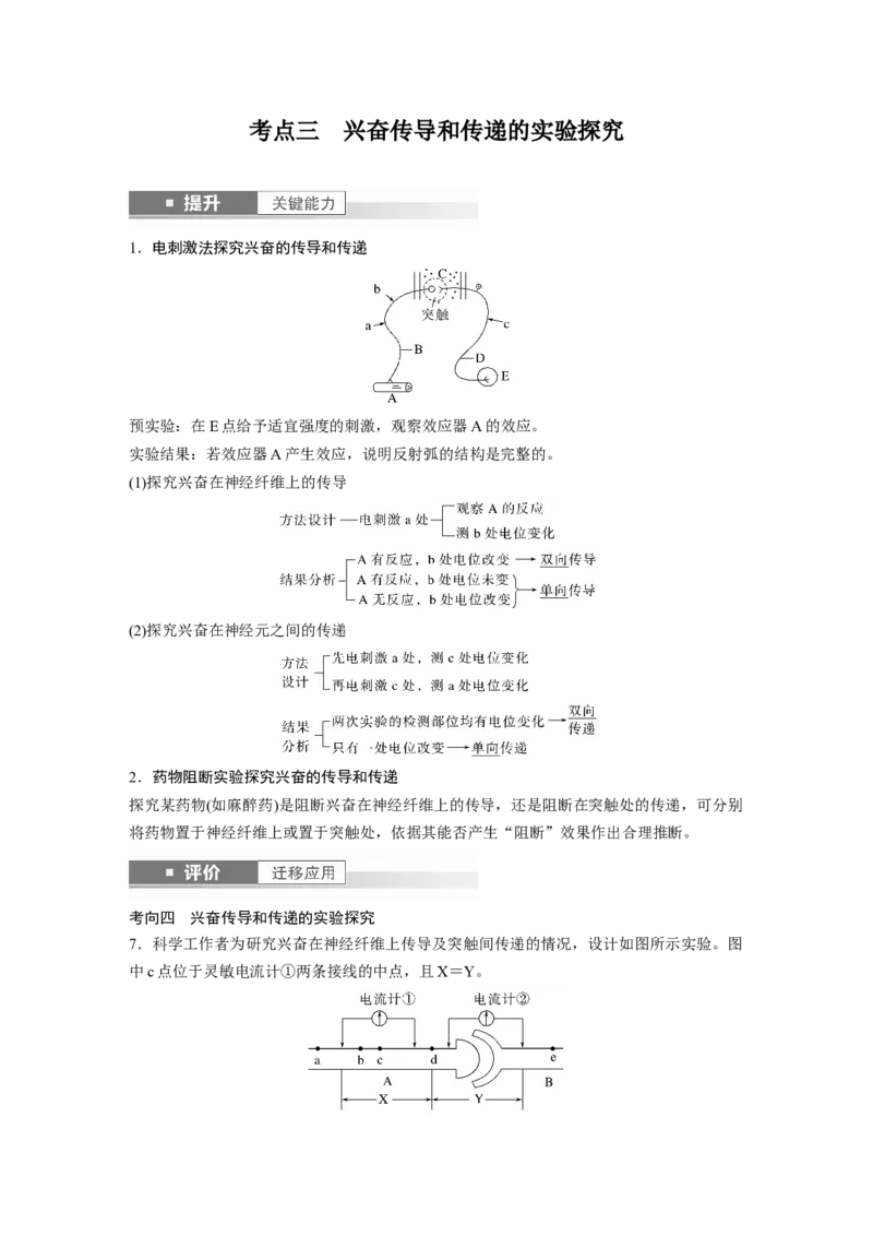 第八单元　第38课时　神经冲动的产生和传导_2025年新高考资料_一轮复习_2025大一轮复习讲义+课件（完结）_2025大一轮复习讲义生物教师用书Word版文档整书
