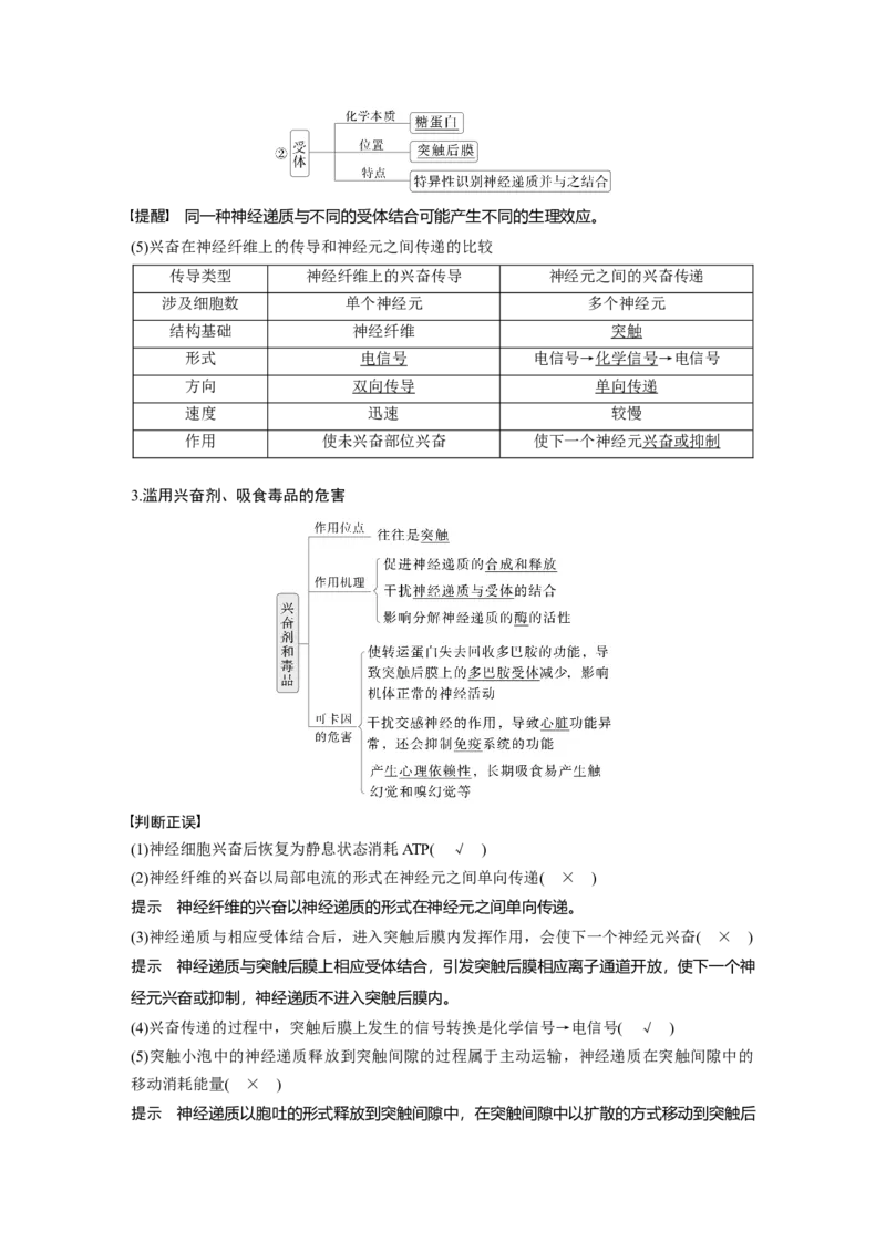 第八单元　第38课时　神经冲动的产生和传导_2025年新高考资料_一轮复习_2025大一轮复习讲义+课件（完结）_2025大一轮复习讲义生物教师用书Word版文档整书