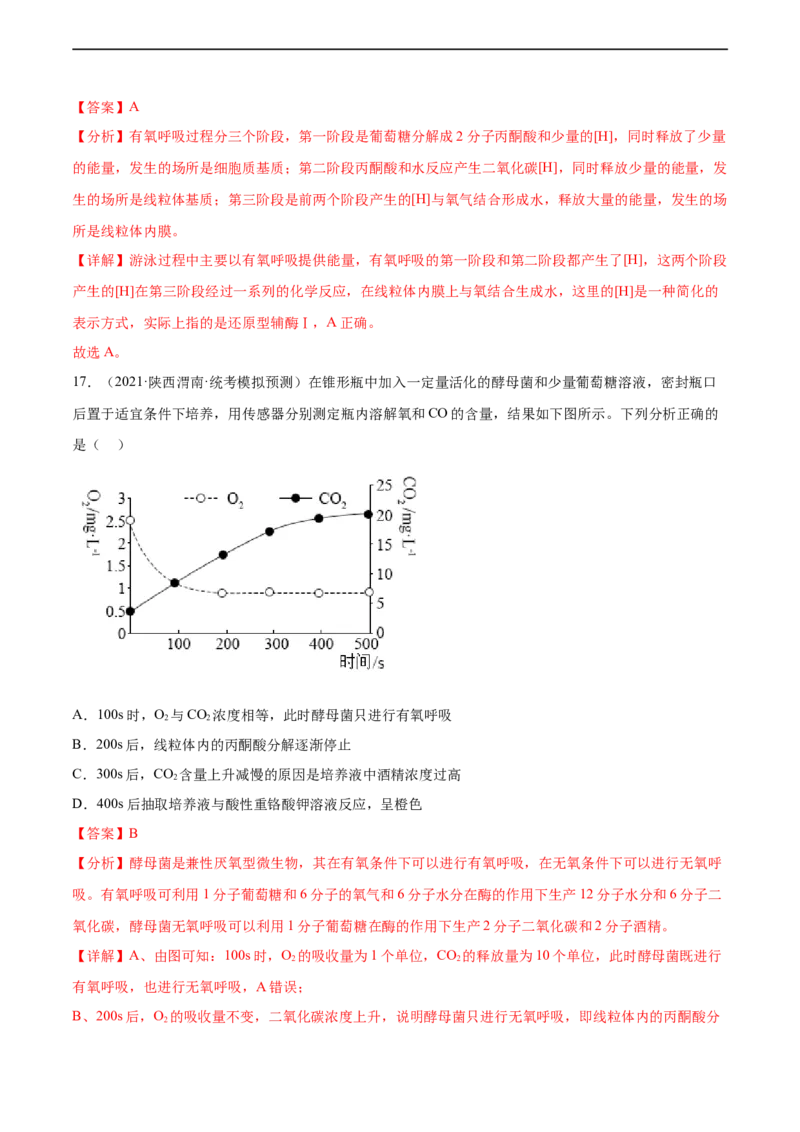 第三单元细胞的能量供应和利用（测试）（解析版）_新高考复习资料_2024年新高考复习资料_一轮复习资料_完2024年高考生物一轮复习讲练测(课件+讲义+练习)（新高考）_单元测试
