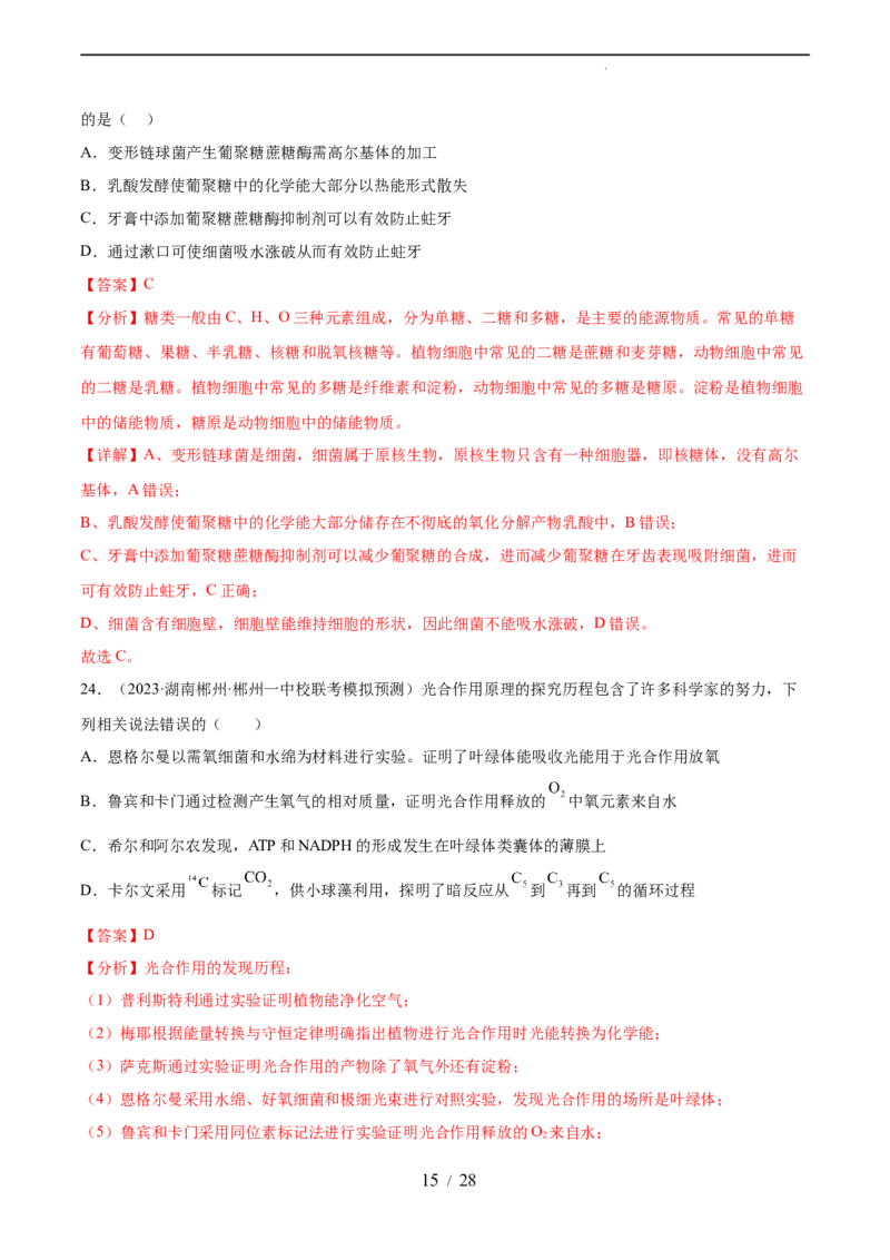 第三单元细胞的能量供应和利用（测试）（解析版）_新高考复习资料_2024年新高考复习资料_一轮复习资料_完2024年高考生物一轮复习讲练测(课件+讲义+练习)（新高考）_单元测试