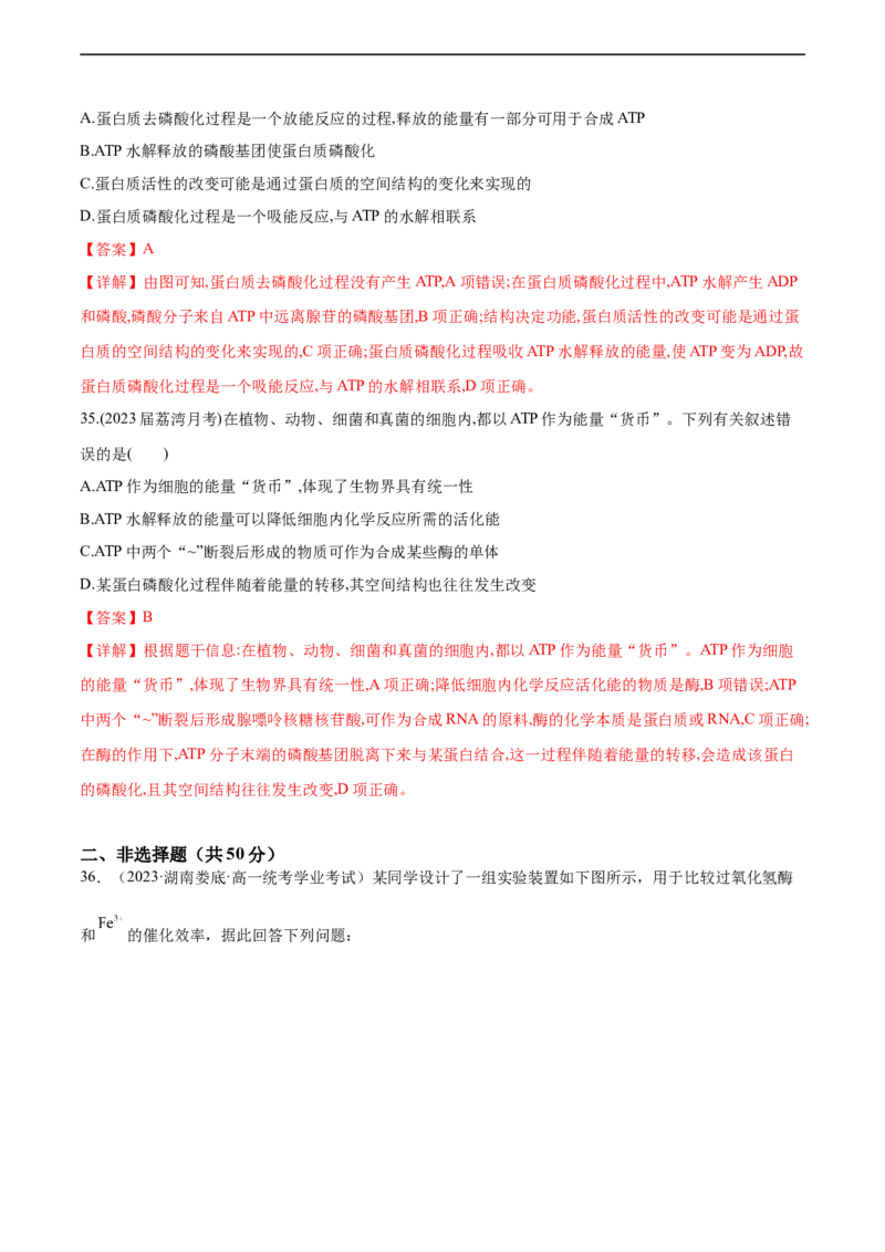 第三单元细胞的能量供应和利用（测试）（解析版）_新高考复习资料_2024年新高考复习资料_一轮复习资料_完2024年高考生物一轮复习讲练测(课件+讲义+练习)（新高考）_单元测试
