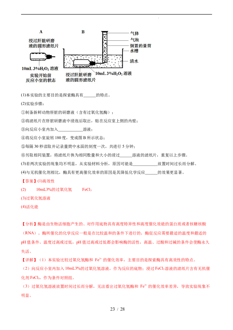 第三单元细胞的能量供应和利用（测试）（解析版）_新高考复习资料_2024年新高考复习资料_一轮复习资料_完2024年高考生物一轮复习讲练测(课件+讲义+练习)（新高考）_单元测试