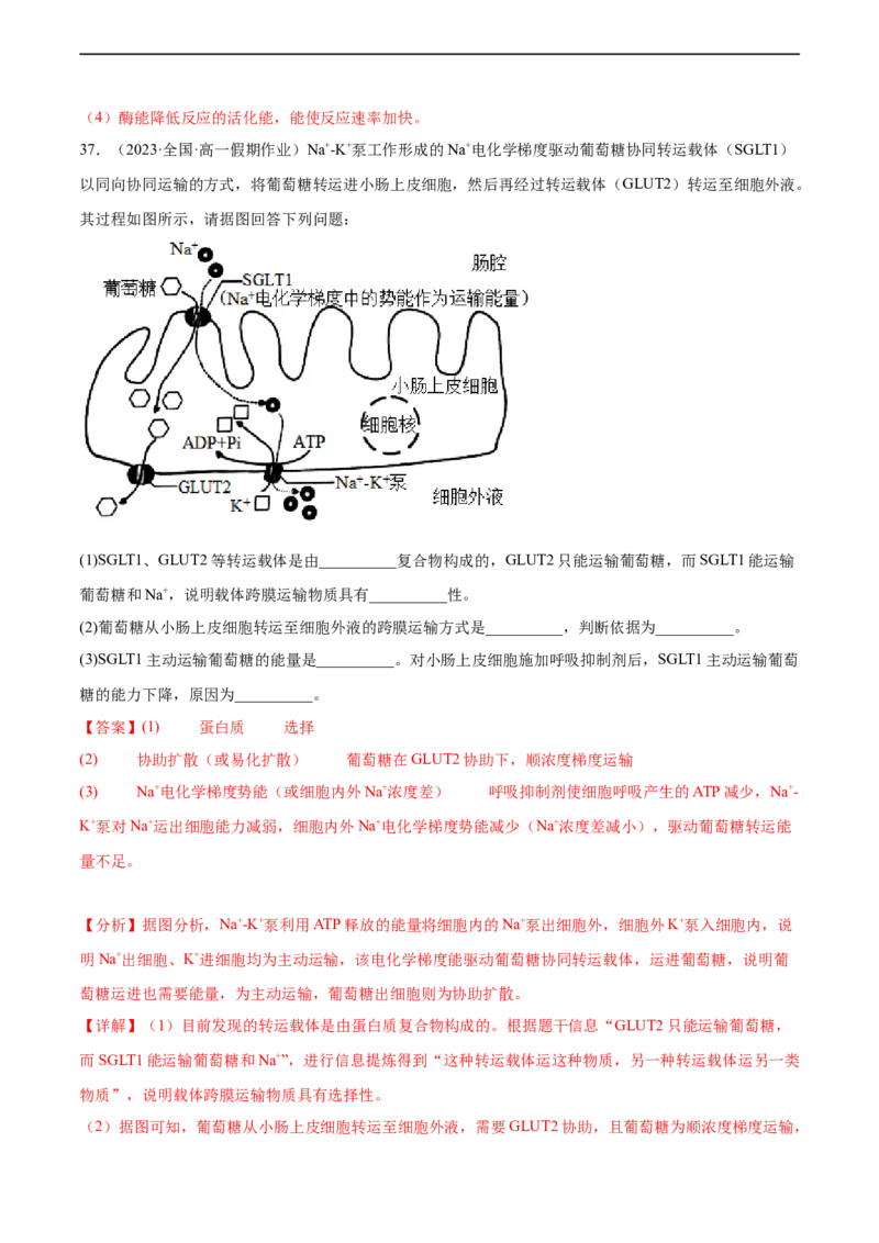 第三单元细胞的能量供应和利用（测试）（解析版）_新高考复习资料_2024年新高考复习资料_一轮复习资料_完2024年高考生物一轮复习讲练测(课件+讲义+练习)（新高考）_单元测试