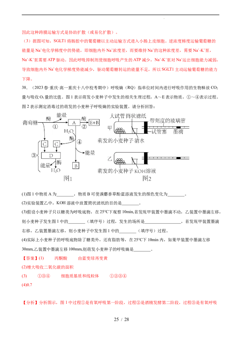 第三单元细胞的能量供应和利用（测试）（解析版）_新高考复习资料_2024年新高考复习资料_一轮复习资料_完2024年高考生物一轮复习讲练测(课件+讲义+练习)（新高考）_单元测试