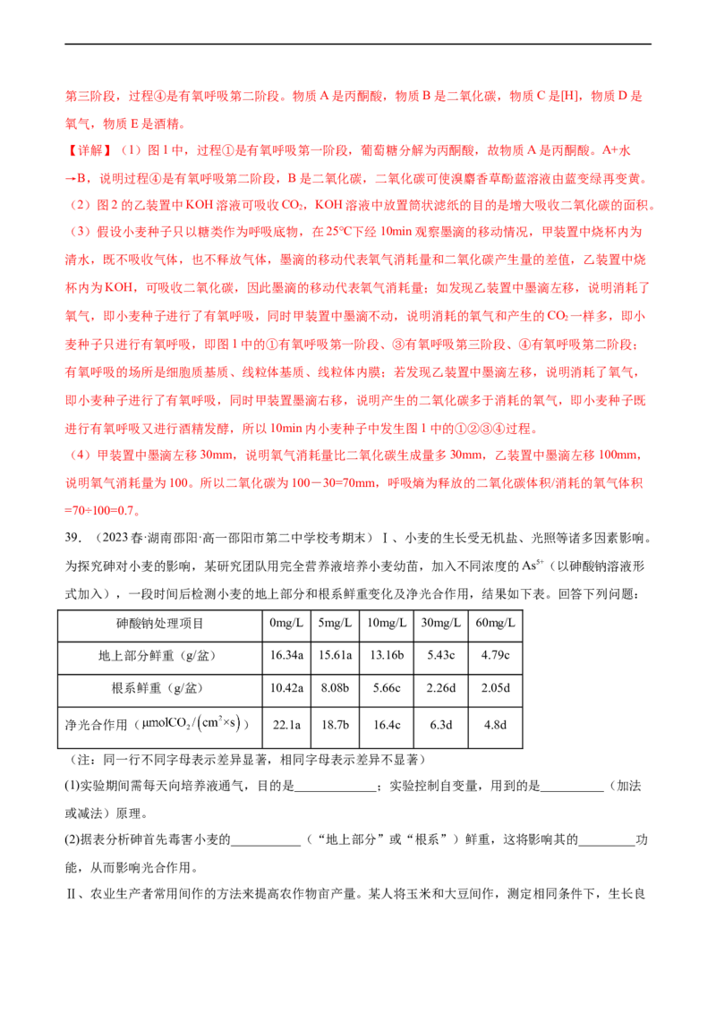 第三单元细胞的能量供应和利用（测试）（解析版）_新高考复习资料_2024年新高考复习资料_一轮复习资料_完2024年高考生物一轮复习讲练测(课件+讲义+练习)（新高考）_单元测试