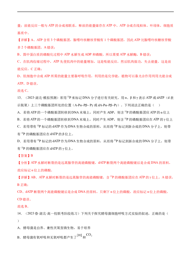 第三单元细胞的能量供应和利用（测试）（解析版）_新高考复习资料_2024年新高考复习资料_一轮复习资料_完2024年高考生物一轮复习讲练测(课件+讲义+练习)（新高考）_单元测试