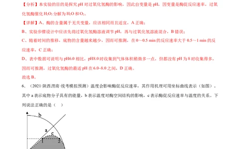 第三单元细胞的能量供应和利用（测试）（解析版）_新高考复习资料_2024年新高考复习资料_一轮复习资料_完2024年高考生物一轮复习讲练测(课件+讲义+练习)（新高考）_单元测试