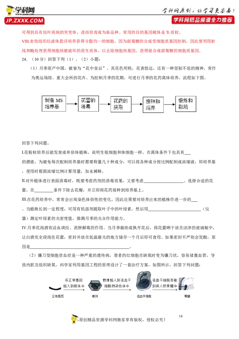 第十三单元细胞工程（A卷新题基础练）-2023年高考生物一轮复习单元滚动双测卷（新高考专用）（解析版）_新高考复习资料_2023年新高考复习资料_一轮复习