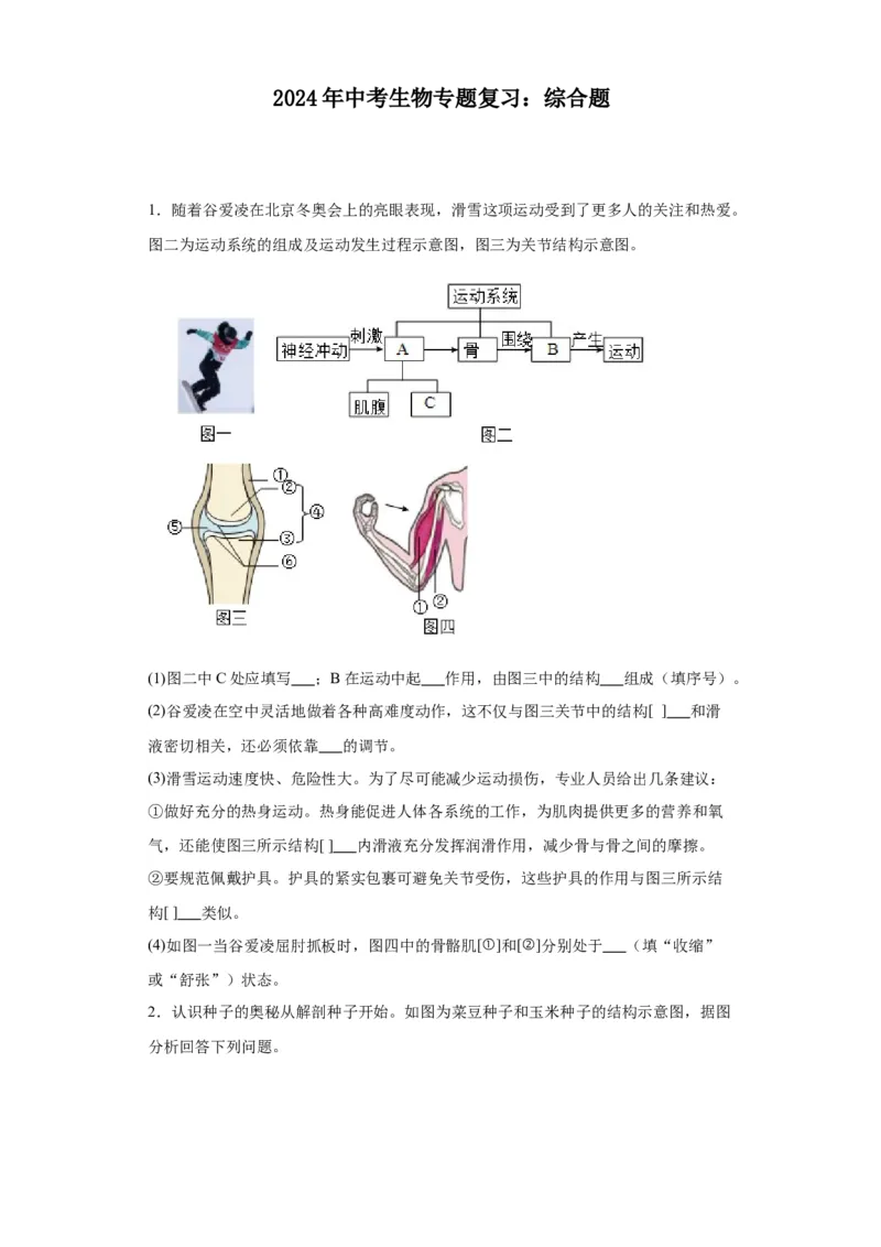 2024年中考生物专题复习：综合题（含答案）_6生物中考复习_2024年中考复习资料_二轮复习_备考2024中考生物二轮复习题型突破专练