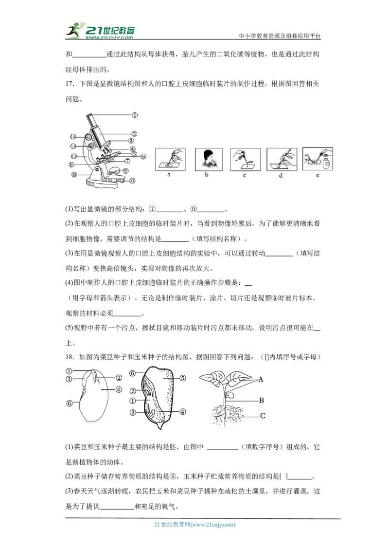 2024年中考生物专题复习：综合题（含答案）_6生物中考复习_2024年中考复习资料_二轮复习_备考2024中考生物二轮复习题型突破专练