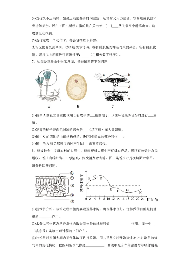 2024年中考生物专题复习：综合题（含答案）_6生物中考复习_2024年中考复习资料_二轮复习_备考2024中考生物二轮复习题型突破专练
