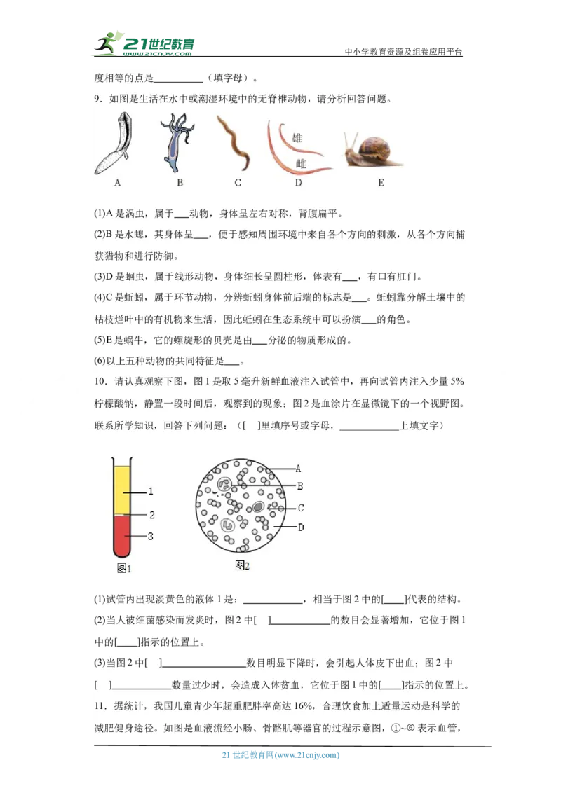 2024年中考生物专题复习：综合题（含答案）_6生物中考复习_2024年中考复习资料_二轮复习_备考2024中考生物二轮复习题型突破专练
