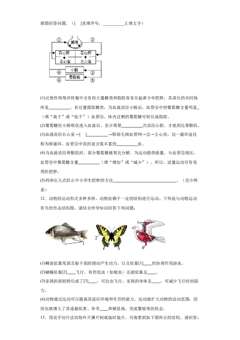 2024年中考生物专题复习：综合题（含答案）_6生物中考复习_2024年中考复习资料_二轮复习_备考2024中考生物二轮复习题型突破专练