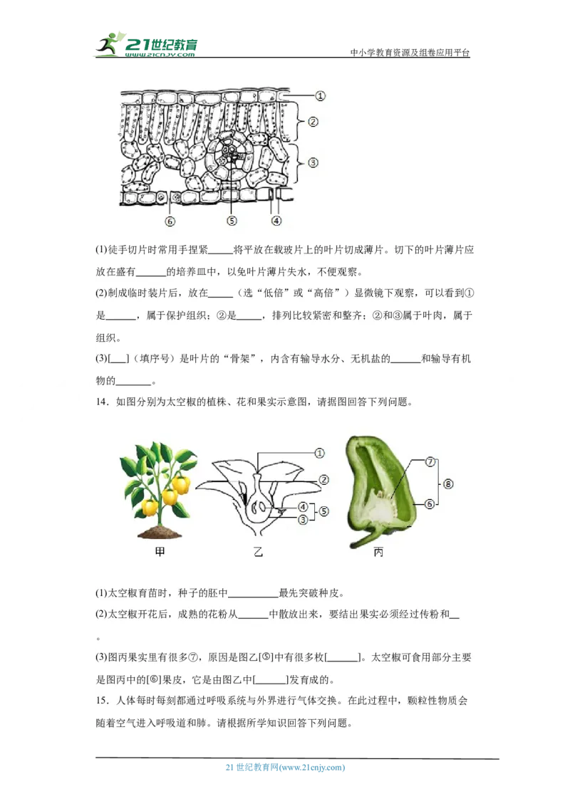 2024年中考生物专题复习：综合题（含答案）_6生物中考复习_2024年中考复习资料_二轮复习_备考2024中考生物二轮复习题型突破专练