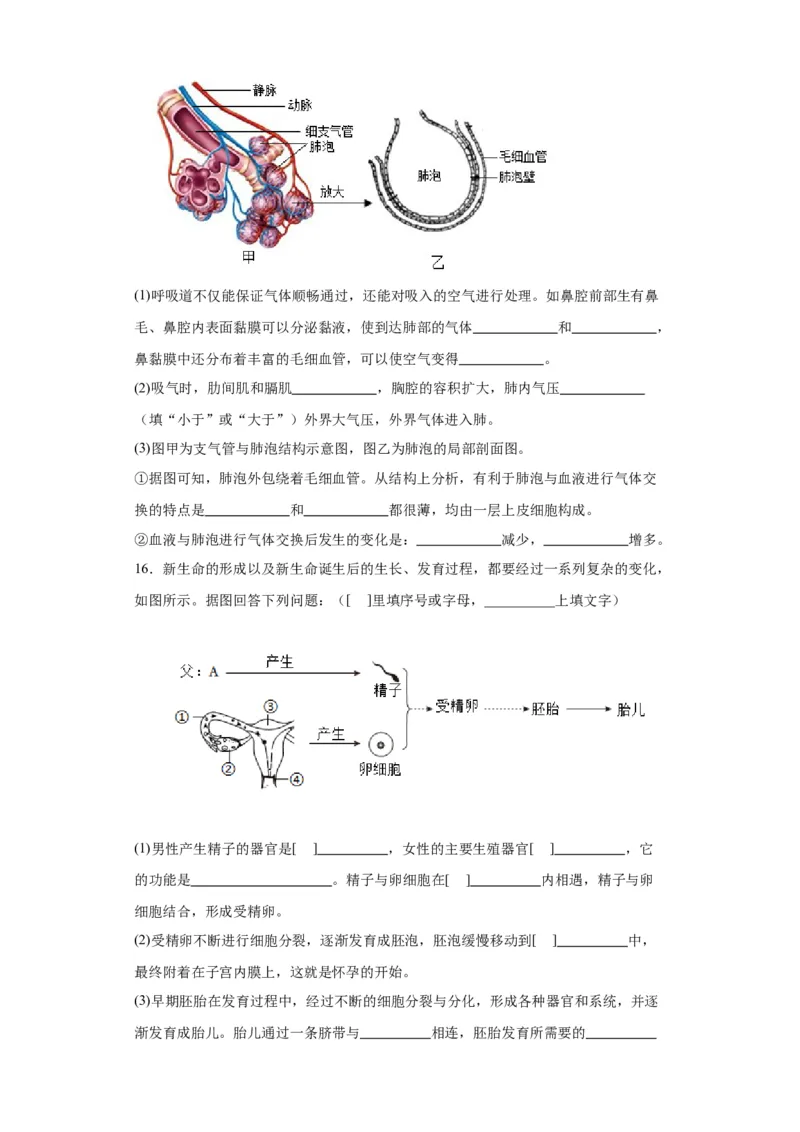 2024年中考生物专题复习：综合题（含答案）_6生物中考复习_2024年中考复习资料_二轮复习_备考2024中考生物二轮复习题型突破专练
