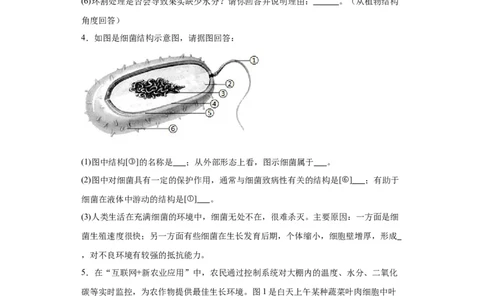 2024年中考生物专题复习：综合题（含答案）_6生物中考复习_2024年中考复习资料_二轮复习_备考2024中考生物二轮复习题型突破专练