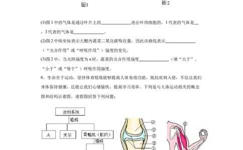 2024年中考生物专题复习：综合题（含答案）_6生物中考复习_2024年中考复习资料_二轮复习_备考2024中考生物二轮复习题型突破专练