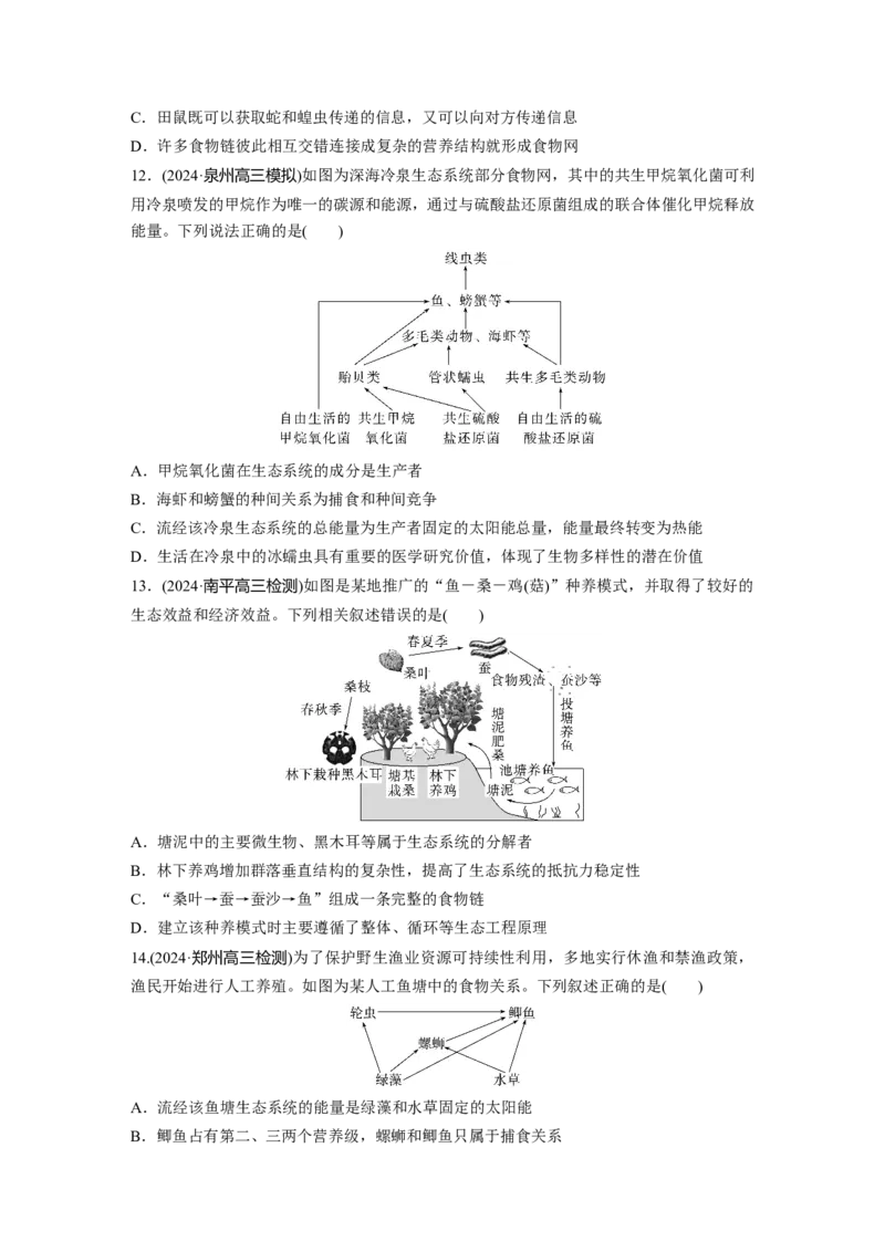 第九单元　课时练51　生态系统的结构_2025年新高考资料_一轮复习_2025大一轮复习讲义+课件（完结）_2025大一轮复习讲义生物学生用书Word版文档整书_2025一轮复习73练