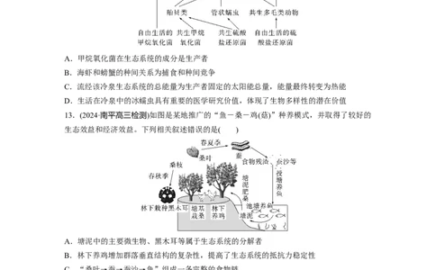 第九单元　课时练51　生态系统的结构_2025年新高考资料_一轮复习_2025大一轮复习讲义+课件（完结）_2025大一轮复习讲义生物学生用书Word版文档整书_2025一轮复习73练