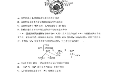 第一篇专题一微专题(一)　病毒_通用版（老高考）复习资料_2023年复习资料_二轮复习_2023年高考生物二轮复习讲义+课件（全国版）_2023年高考生物二轮复习讲义（全国版）_学生版