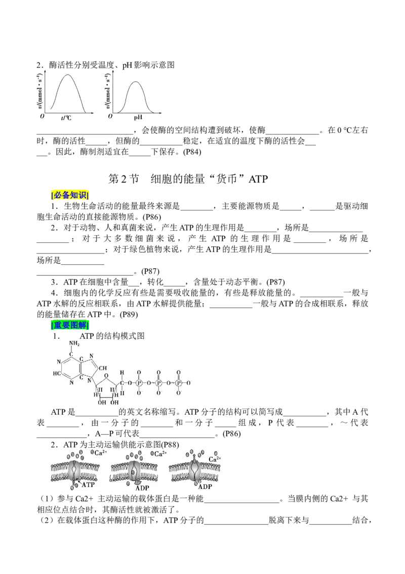 第5章细胞的能量供应和利用（填空版）_2025年新高考资料_专项复习_晨读晚默备战2025年高考生物必背知识清单